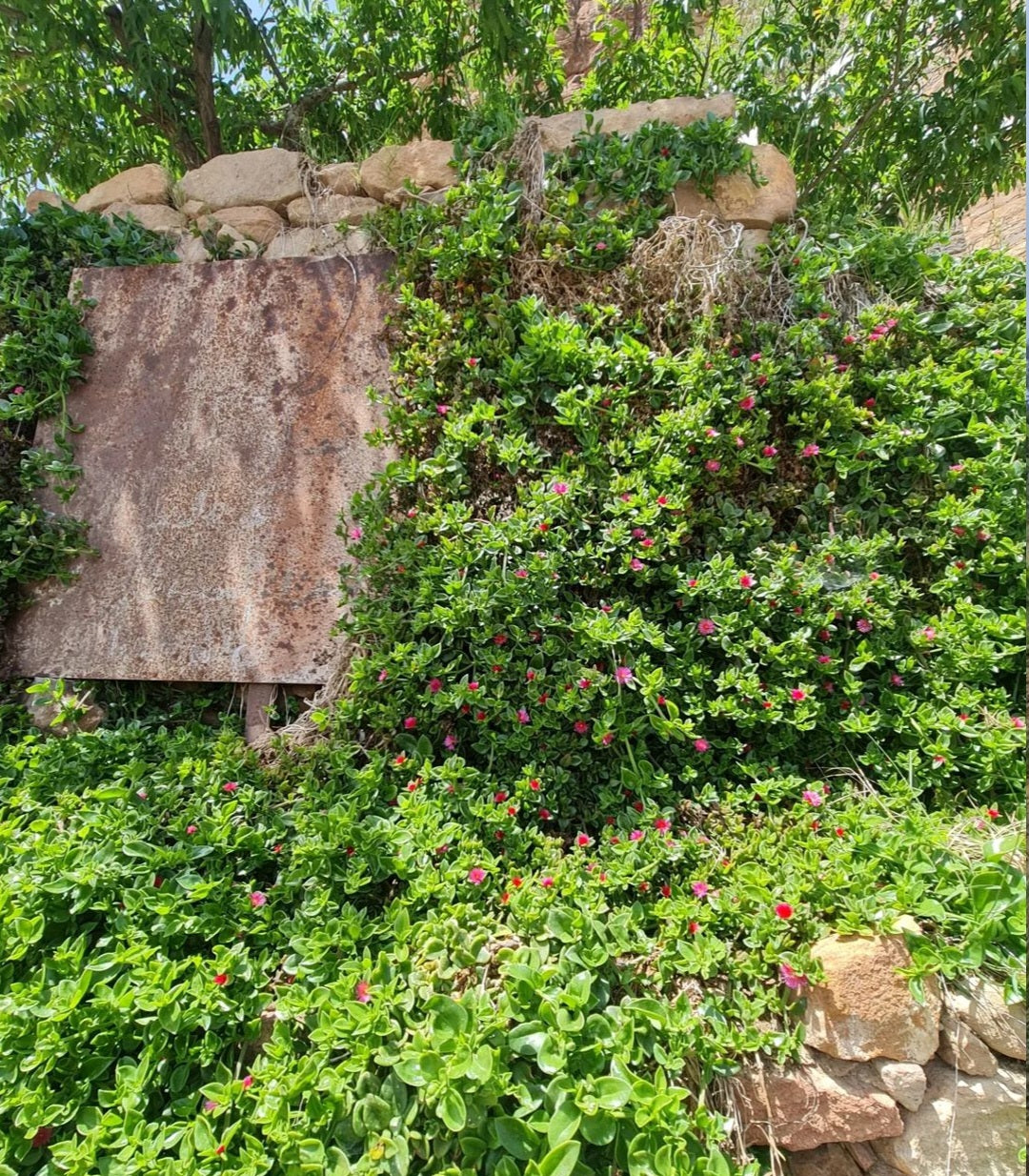 عسير