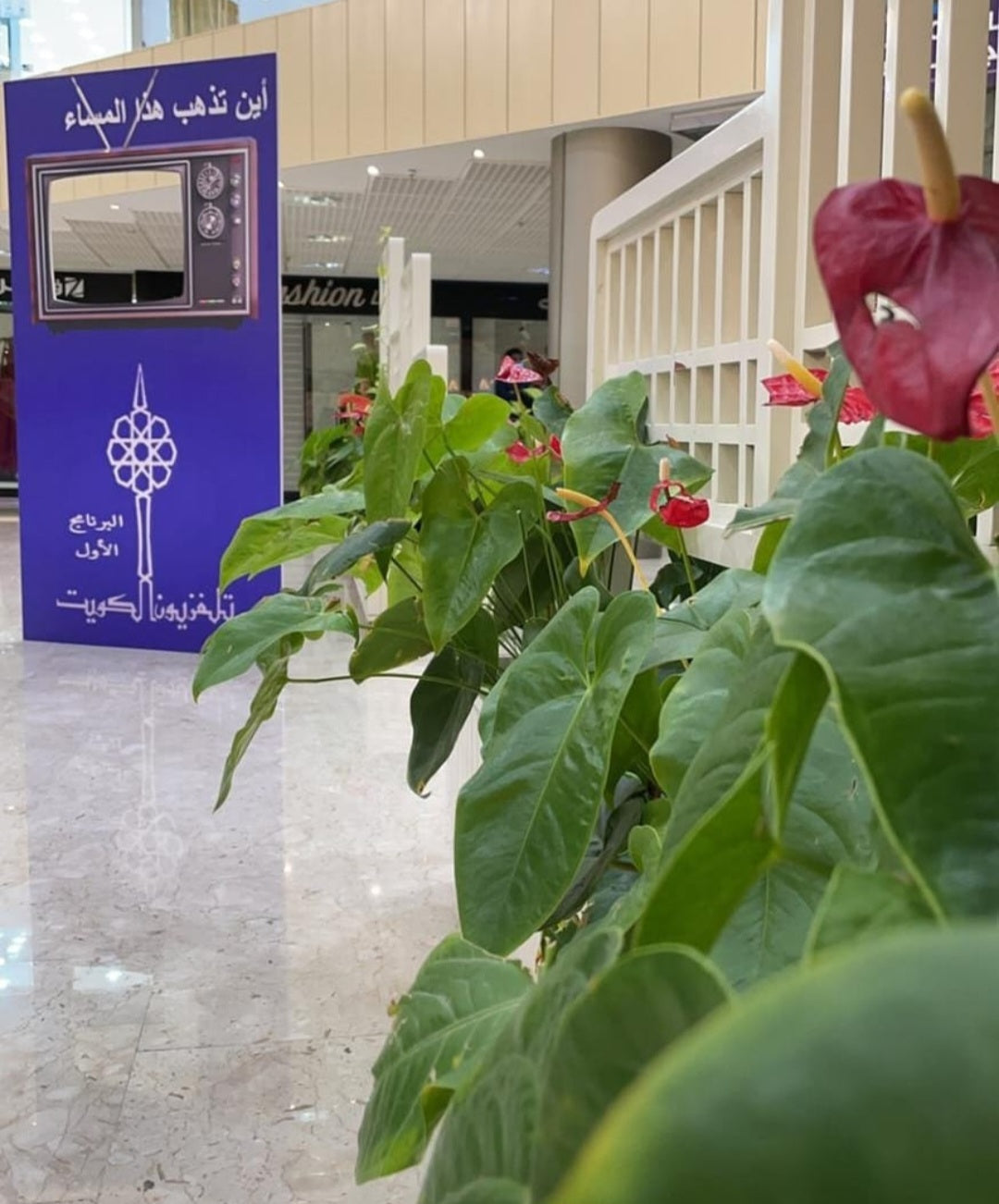 رحلة البحث عن الكنز ذكريات السبعينات و الثمانينات