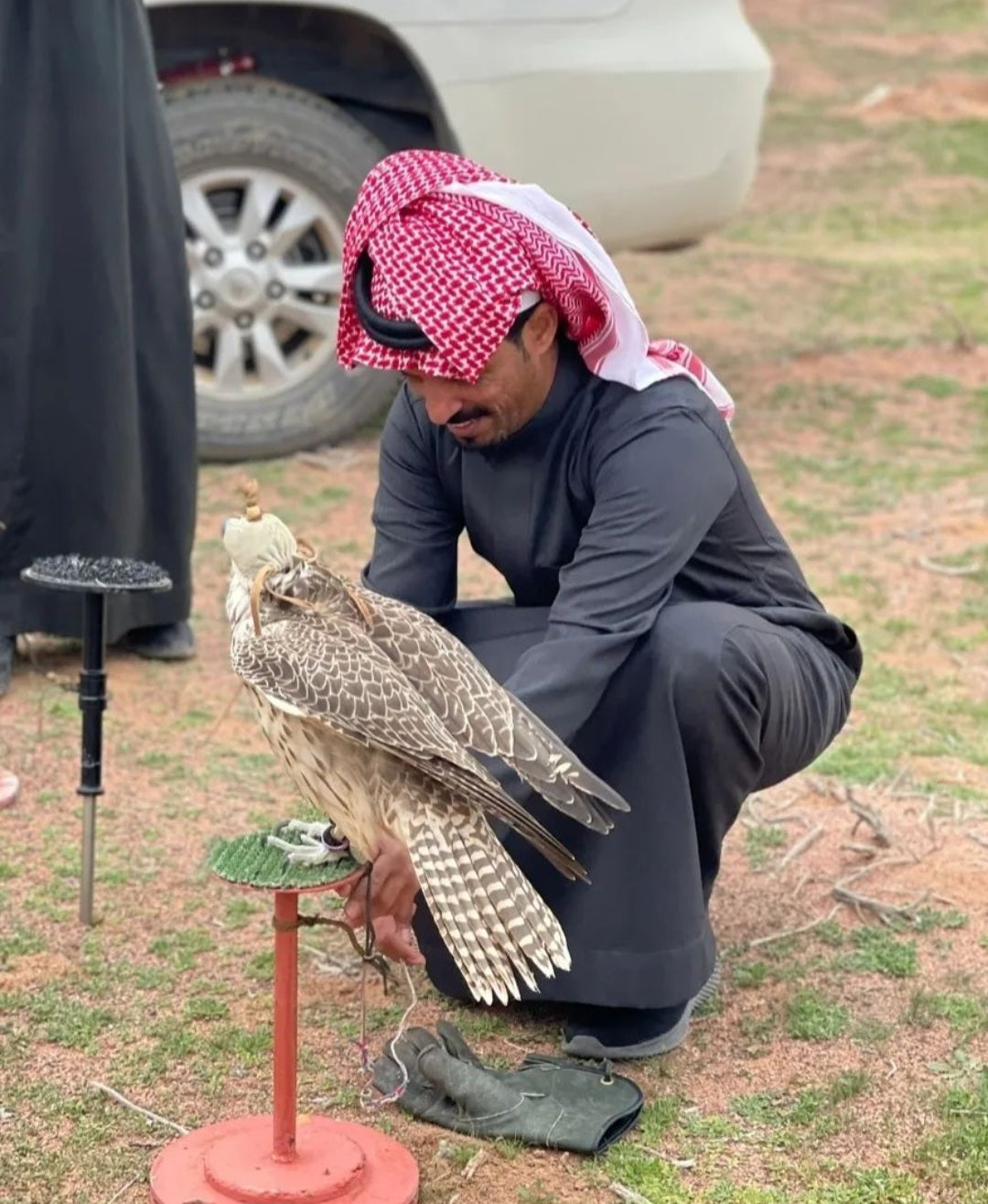 القصيم و حايل