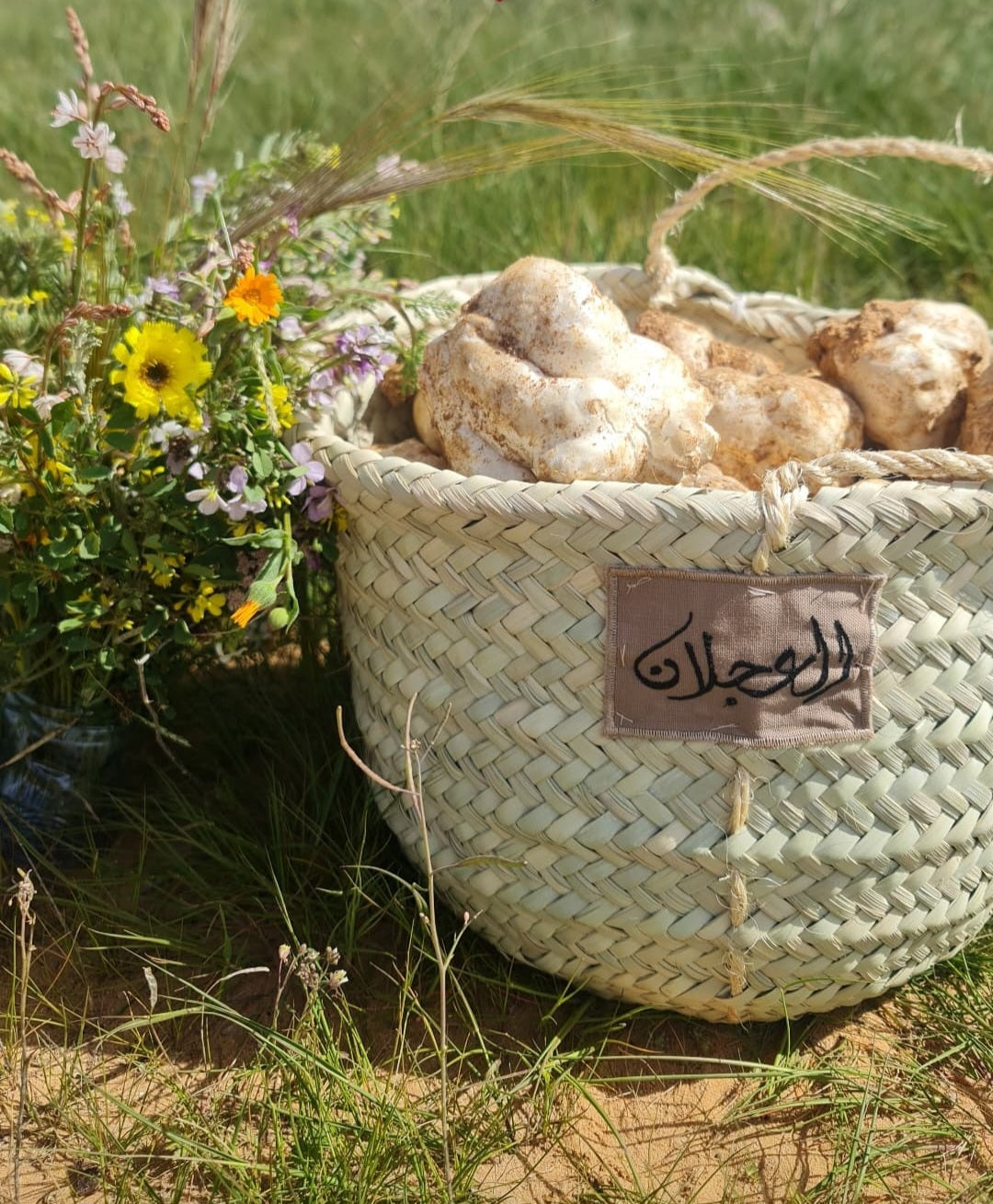 القصيم و حايل